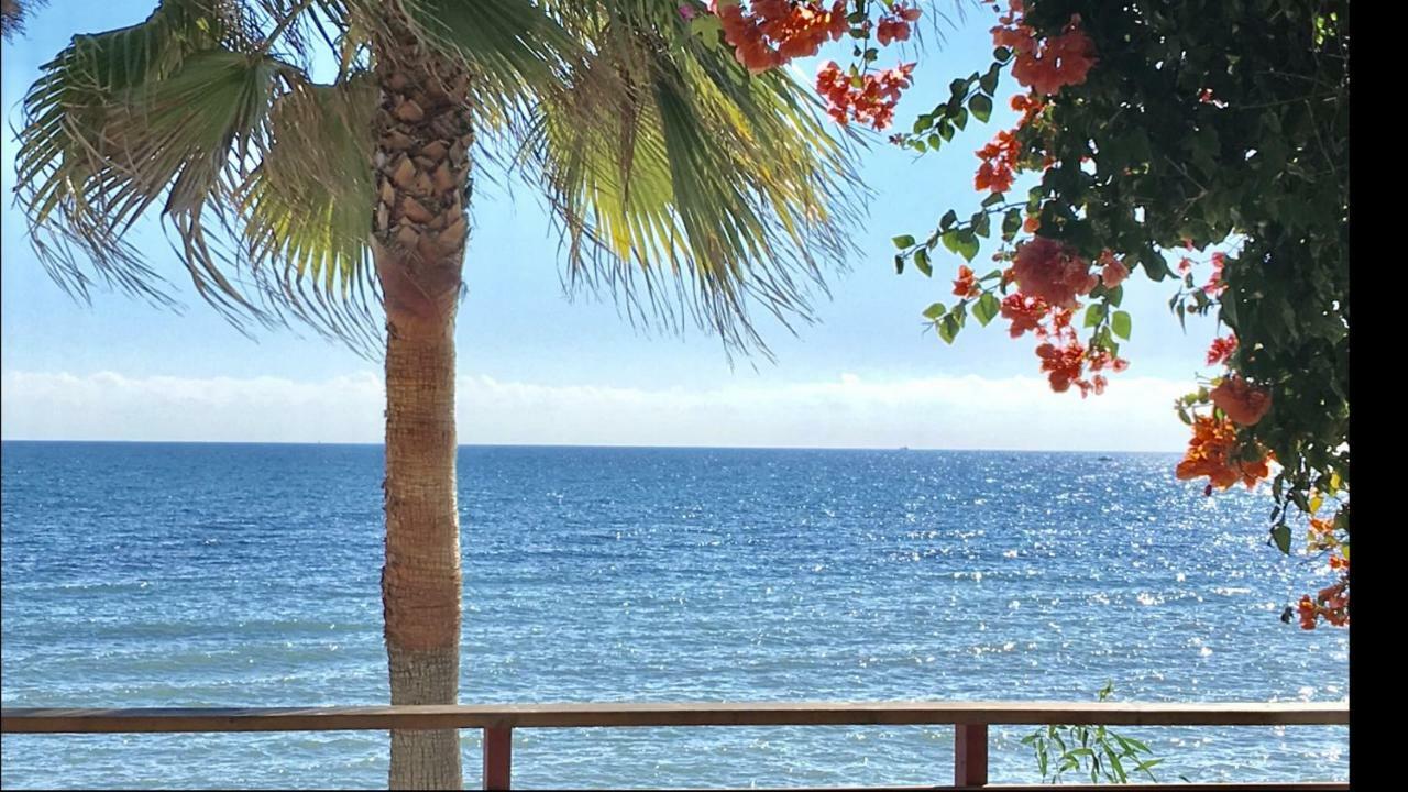 Mi Capricho 170 Beachfront Apartment Sitio de Calahonda エクステリア 写真